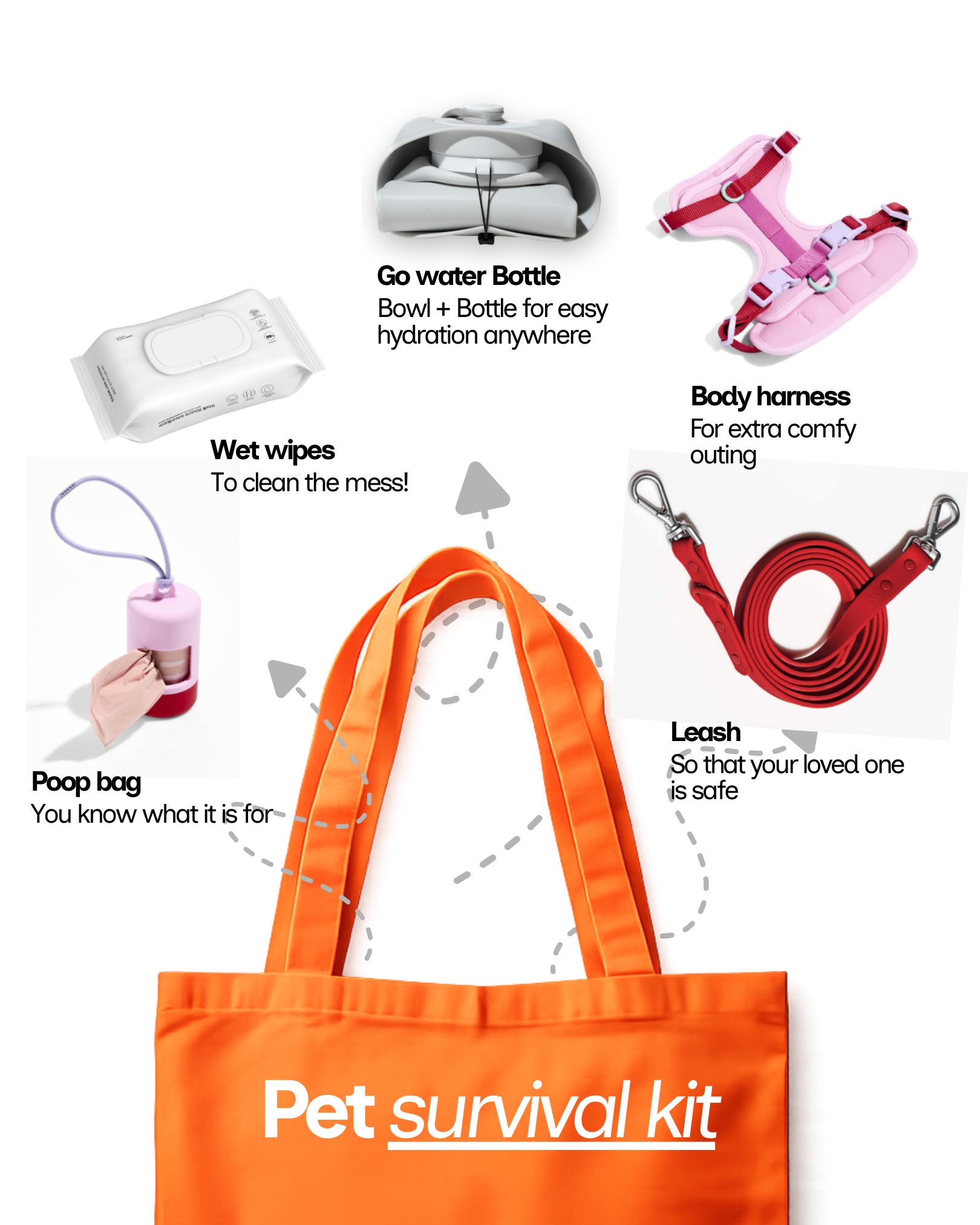 Things every dog parent carries (dog water bottle)